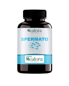 Healora Life Store Muqavi Spermato – Male Vitality & Reproductive Health Support Capsules